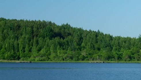 Смотреть