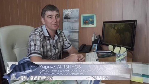 Смотреть