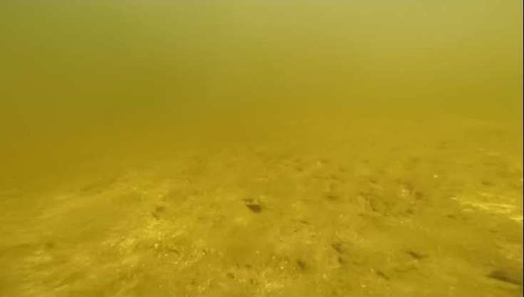 Подводная жизнь дельты Волги. 2 …