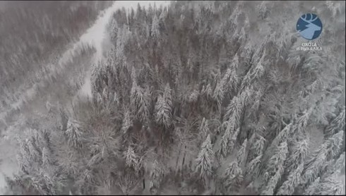 Смотреть