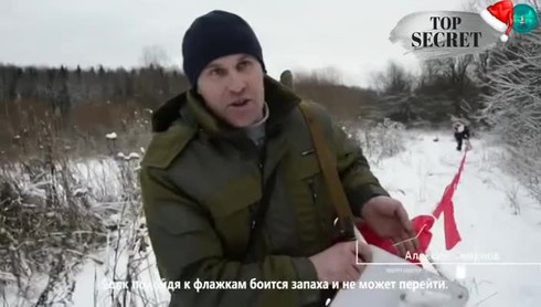 Смотреть