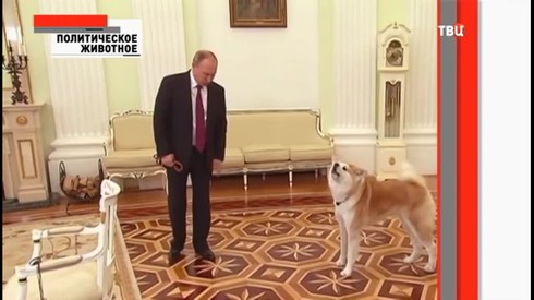 Смотреть