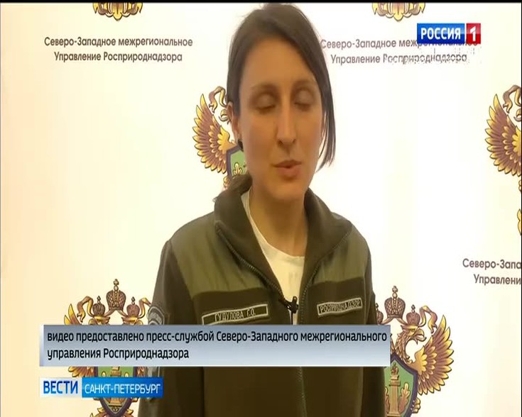 Смотреть \"Вести. Санкт-Петербург\" онлайн от 22/03/2023. Новости - eTVnet