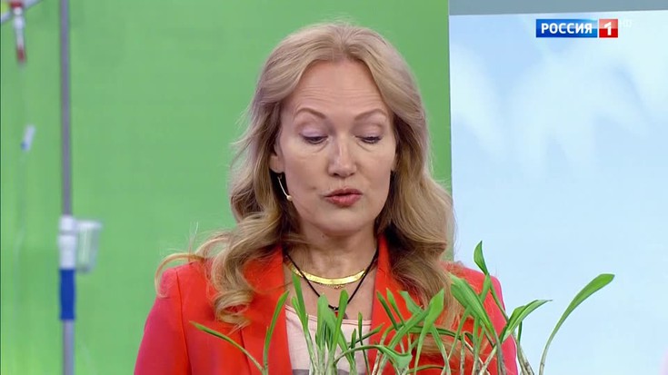 Смотреть "О самом главном. Укрепляем иммунитет, как отличить простуду ...