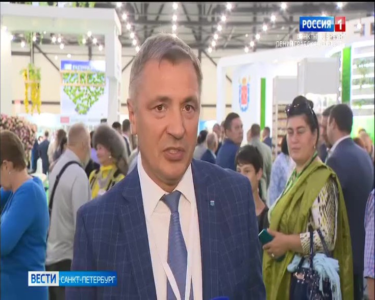 Смотреть "Вести. Санкт-Петербург" онлайн от 30/08/2023. Новости - eTVnet