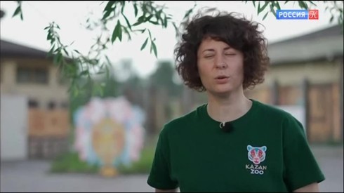 Смотреть