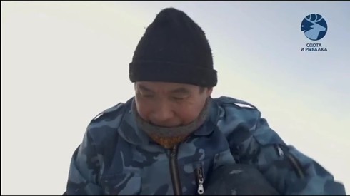 Смотреть