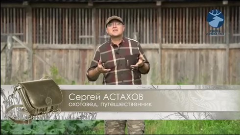 Смотреть