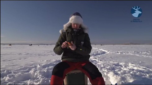 Смотреть