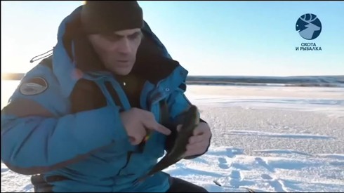 Смотреть