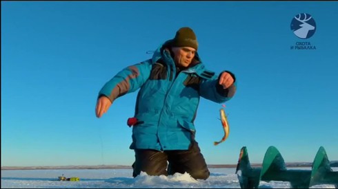 Смотреть