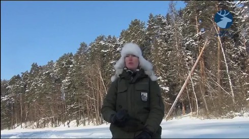 Смотреть
