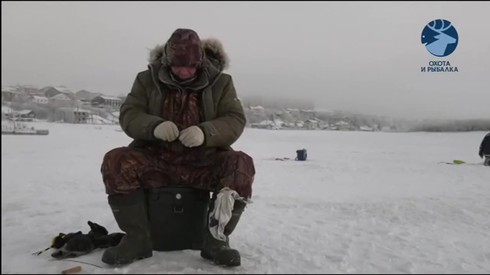 Смотреть