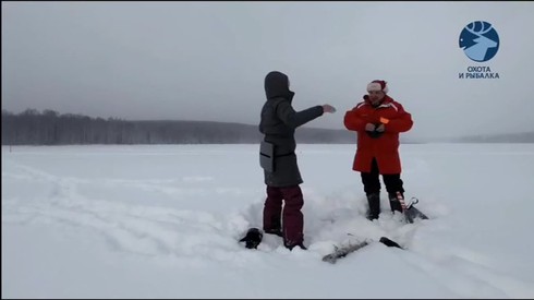 Смотреть