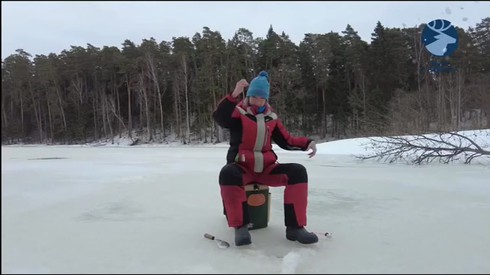 Смотреть