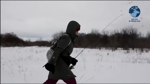 Смотреть