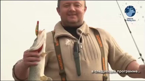 Смотреть