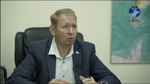 Смотреть