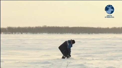 Смотреть