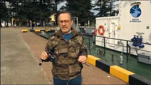 Смотреть