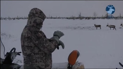 Смотреть