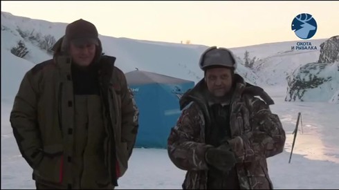 Смотреть