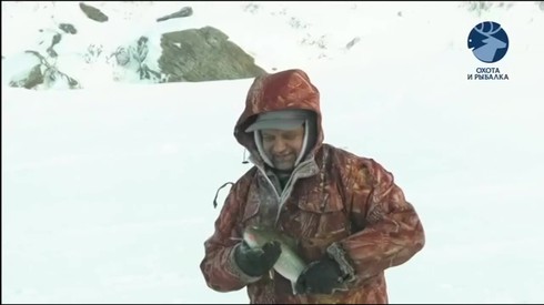 Смотреть