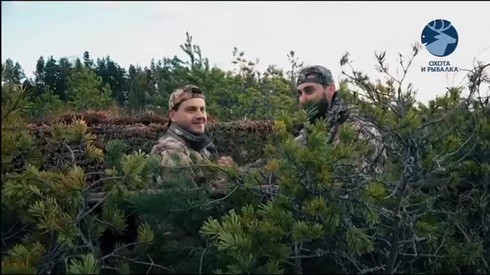 Смотреть