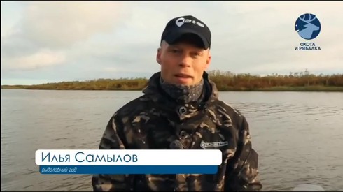 Смотреть
