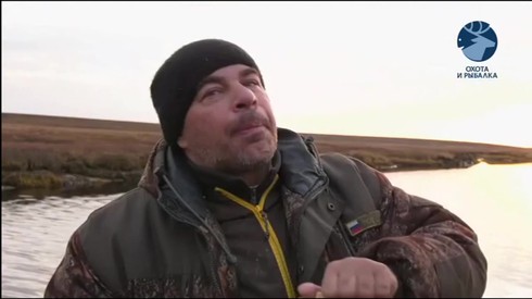 Смотреть