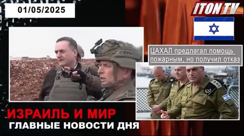 Смотреть