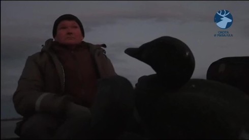 Смотреть