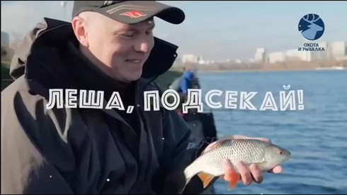 Смотреть