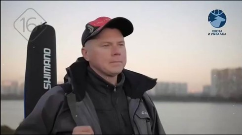 Смотреть