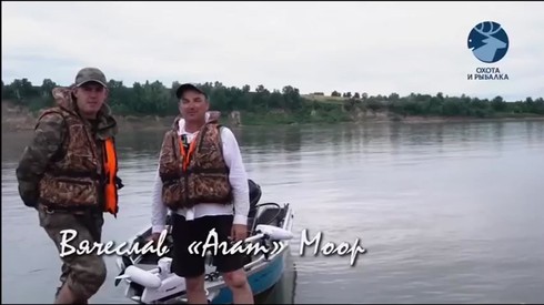 Смотреть