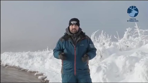 Смотреть