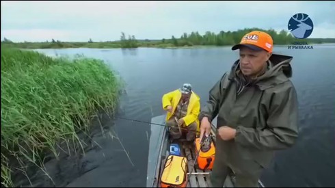 Смотреть