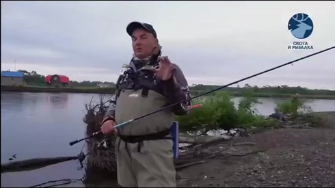 Смотреть