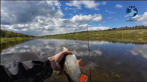 Смотреть