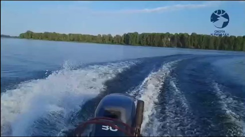 Смотреть