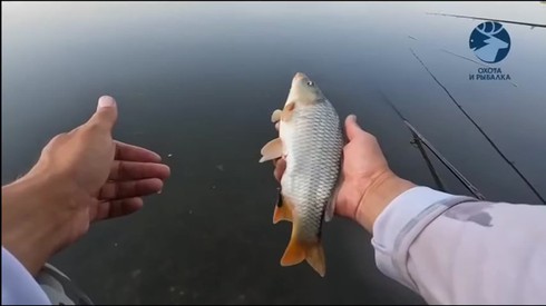 Смотреть