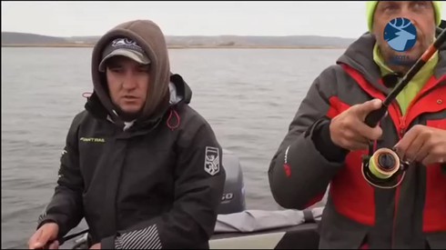 Смотреть