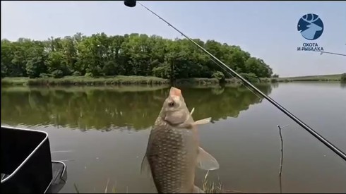 Смотреть