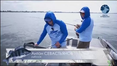 Смотреть