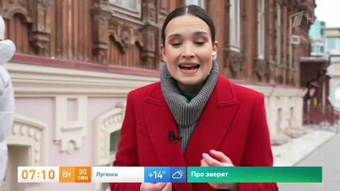 Смотреть