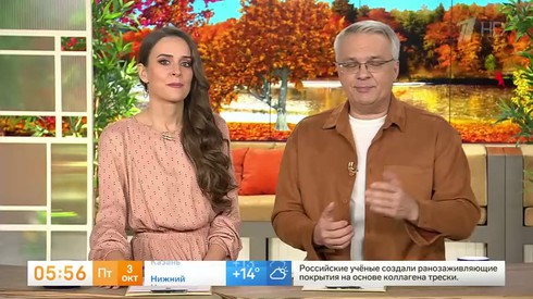 Смотреть