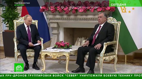 Смотреть