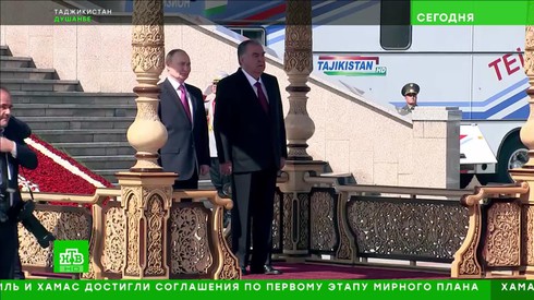 Смотреть