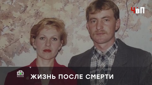 Смотреть