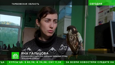 Смотреть